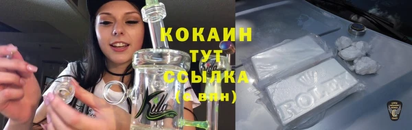 прущий лед Тайга