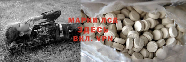 хмурый Корсаков