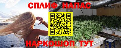ГАЛЛЮЦИНОГЕННЫЕ ГРИБЫ Новозыбков