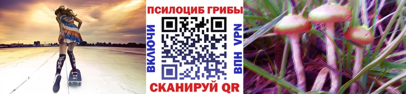 Псилоцибиновые грибы Psilocybine cubensis  цена наркотик  блэк спрут зеркало  Липецк 