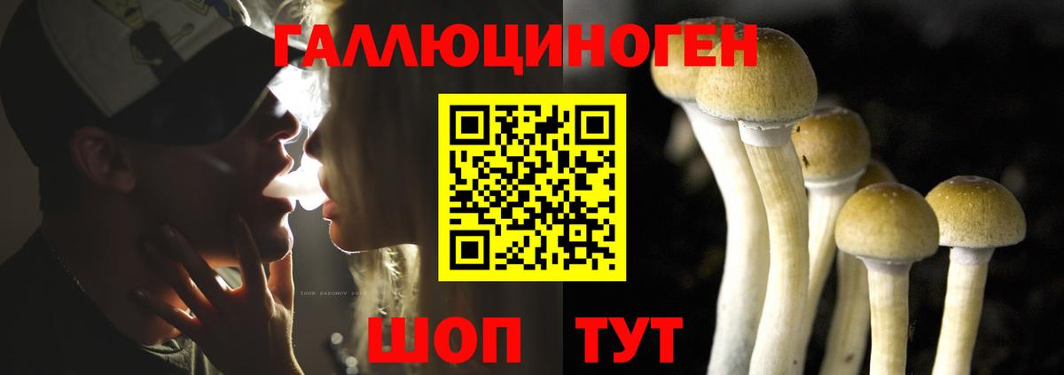 Галлюциногенные грибы Cubensis  Липецк 